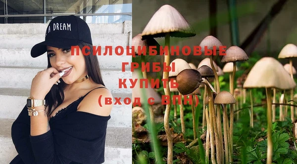 прущие крисы Горно-Алтайск