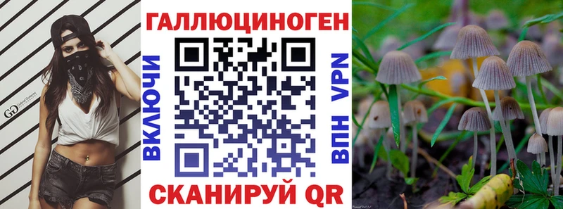 закладка  Железногорск-Илимский  ссылка на мегу ТОР  Галлюциногенные грибы прущие грибы 